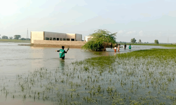 Punjab rivers on high flood alert as heavy rains, Indian water release intensify threat