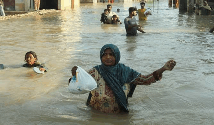 PPP passes Senate resolution on floods, urges immediate BISP support