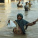 PPP passes Senate resolution on floods, urges immediate BISP support