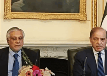 Pakistan part of Trump-led efforts for Gaza peace, says PM Shehbaz