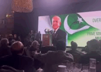 PM Shehbaz hails unity in victory against India, vows path of progress