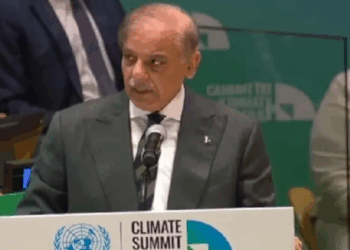 Loans are not the solution, world must honor climate pledges: PM Shehbaz at UN