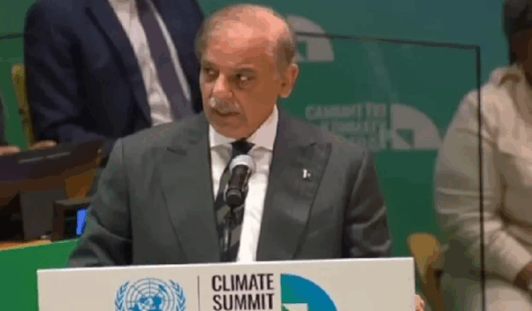 Loans are not the solution, world must honor climate pledges: PM Shehbaz at UN