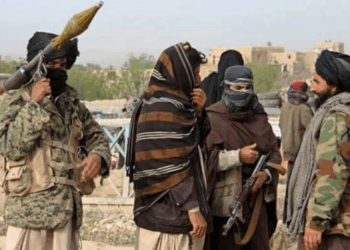 Political divisions hampering Pakistan’s anti-terror fight: The Diplomat