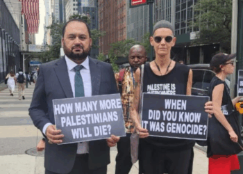 Pakistan stands firm against Israeli atrocities in Gaza: Zeeshan Naqvi