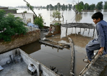 Punjab reels under catastrophic floods: 3.5 million affected, crops on 1.3 million acres destroyed