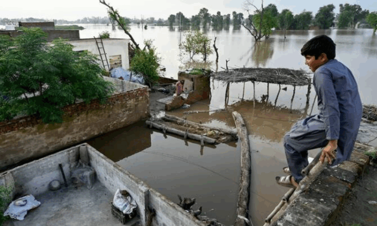 Punjab reels under catastrophic floods: 3.5 million affected, crops on 1.3 million acres destroyed
