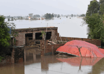 Pakistan criticises India for withholding detailed data after Punjab floods