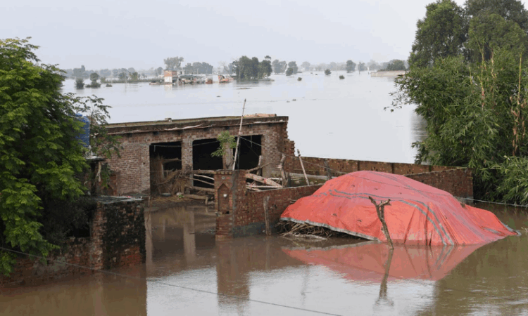 Pakistan criticises India for withholding detailed data after Punjab floods