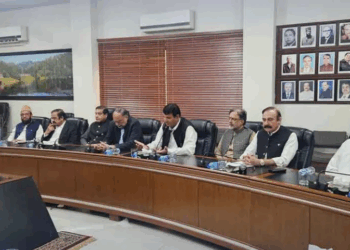 Govt committee assures peaceful resolution of Azad Kashmir unrest through dialogue