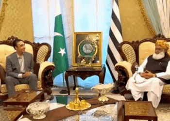 Bilawal, Fazlur Rehman discuss political situation in Islamabad