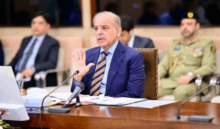 Pakistan ready for talks with Taliban on ‘reasonable terms,’ says PM Shehbaz