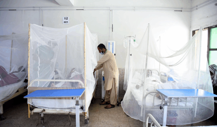 Sindh reports 1,083 dengue cases in 2025 as hospitals record alarming spike