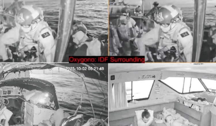 Israeli Forces seize Gaza Flotilla, detain nearly 500 activists including Greta Thunberg and Senator Mushtaq.