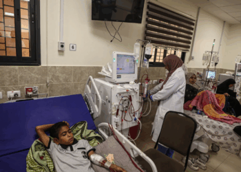 WHO Chief warns of ‘generational health catastrophe’ in Gaza, urges massive increase in aid