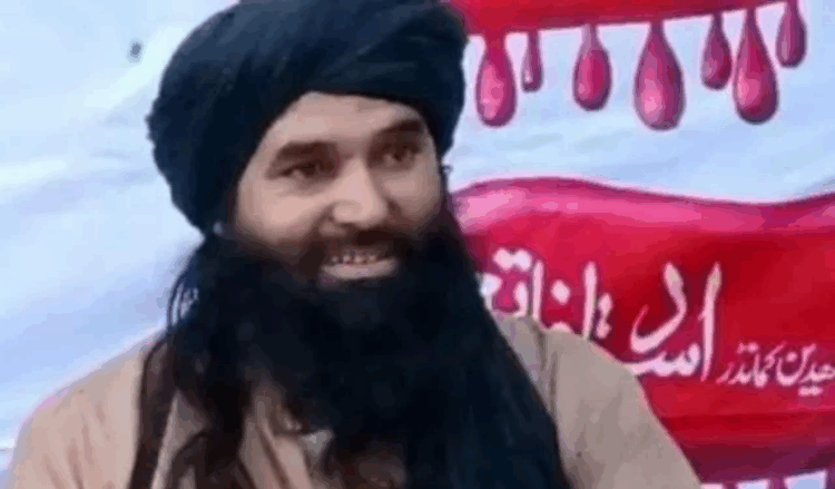 Four TTP terrorists, including top commander, killed in Bajaur: ISPR