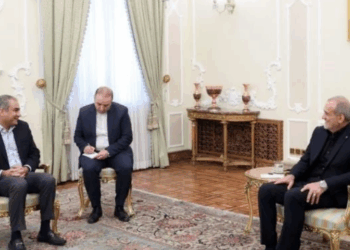 ‘Pakistan, Iran partners in regional peace and stability,’ says Naqvi in meeting with President Pezeshkian