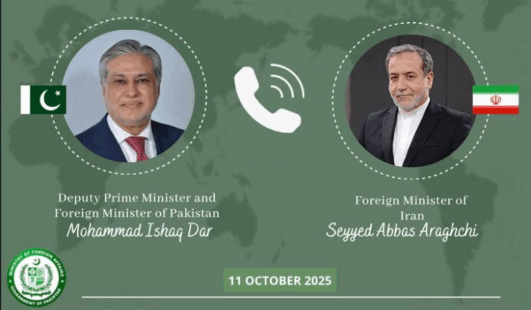 Ishaq Dar holds series of calls with regional counterparts on Gaza crisis