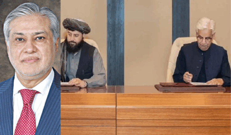 Ishaq Dar hails Doha-brokered ceasefire; Turkey pledges continued support