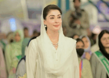 Maryam refuses to apologise for remarks against PPP