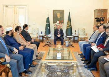 PM Shehbaz praises peaceful resolution of AJK situation, vows to address people’s concerns