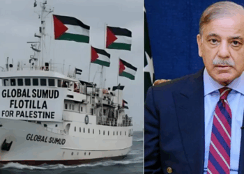 PM Shehbaz lauds Pakistanis in Global flotilla, demands their safe return