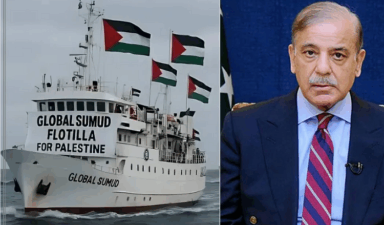 PM Shehbaz lauds Pakistanis in Global flotilla, demands their safe return