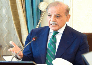 PM Shehbaz announces concessional power package for industries and farmers
