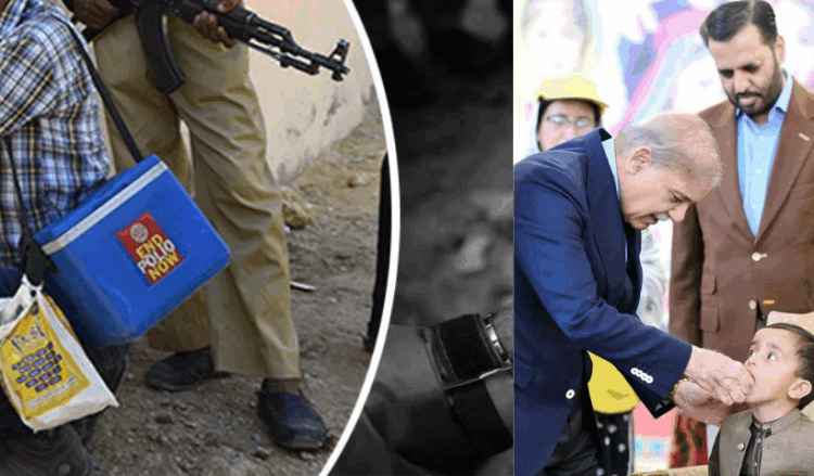 PM Shehbaz condemns terror attack on polio team in Swat