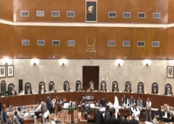 SC allows live streaming of 26th amendment case hearing