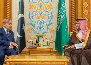 Pakistan, Saudi Arabia to launch economic cooperation framework