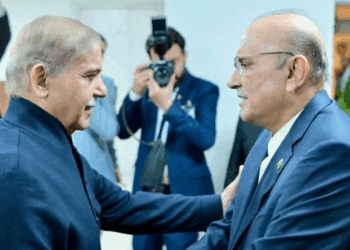 President Zardari, PM Shehbaz discuss AJK government formation
