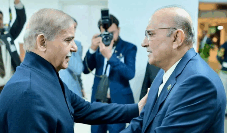President Zardari, PM Shehbaz discuss AJK government formation