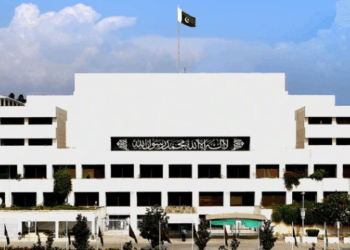 Govt denies working on 28th Constitutional Amendment amid confusion over cabinet remarks