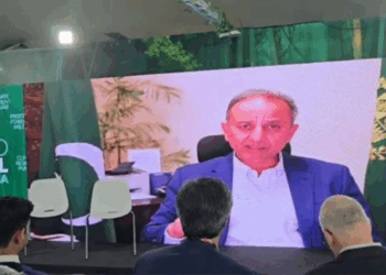 Musadik Malik urges urgent global action as HKH glaciers melt at “unprecedented rate”
