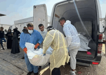 Israel receives remains of 2014 Gaza war hostage Hadar Goldin from Hamas