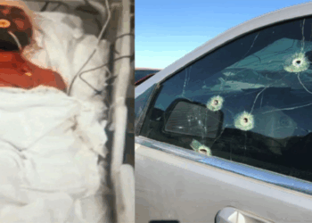 Prominent businessman survives motorway shooting; security guard critically injured