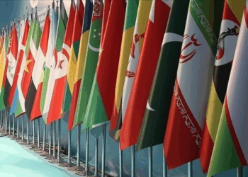 Turkey to host Muslim nations’ foreign ministers meeting on US Gaza Peace Plan