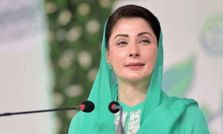 Punjab CM announces zero-tolerance policy on negligence, tightens oversight across province