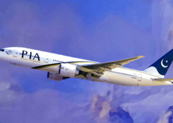 Govt targets mid-December for final PIA bidding, NA panel told
