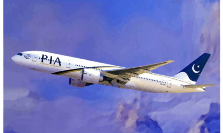 Govt targets mid-December for final PIA bidding, NA panel told