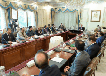 PM Shehbaz assures MQM-P of support for local government amendments in 27th Constitutional Bill