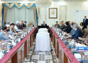 PM Shehbaz highlights push toward cashless economy for sustainable growth