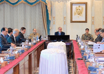 PM Shehbaz orders fast-tracked, transparent PIA privatisation; fleet expansion plan reviewed