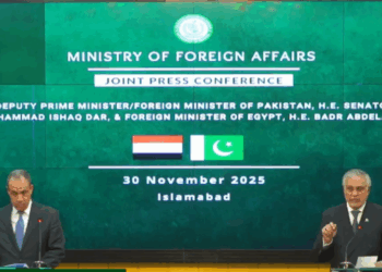 Pakistan to share list of 250 firms for Egypt’s ‘white list’ as Islamabad, Cairo deepen bilateral ties: DPM Ishaq Dar