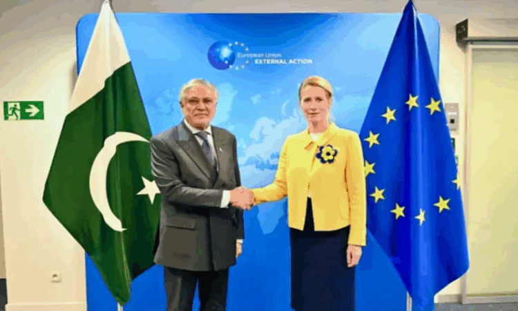 Pakistan, EU urge Afghan authorities to help eliminate terrorism; call for protection of human rights
