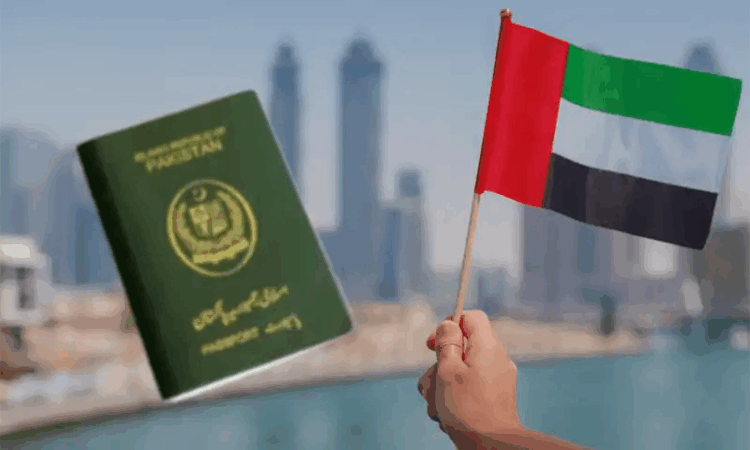 UAE halts visas for Pakistani citizens, Interior Ministry tells Senate panel
