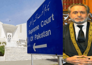 Justice Mandokhail partially accepts pleas against majority verdict in reserved seats case