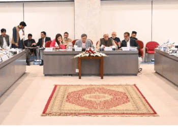 Parliamentary committee approves amendments to article 243, clause on presidential immunity included