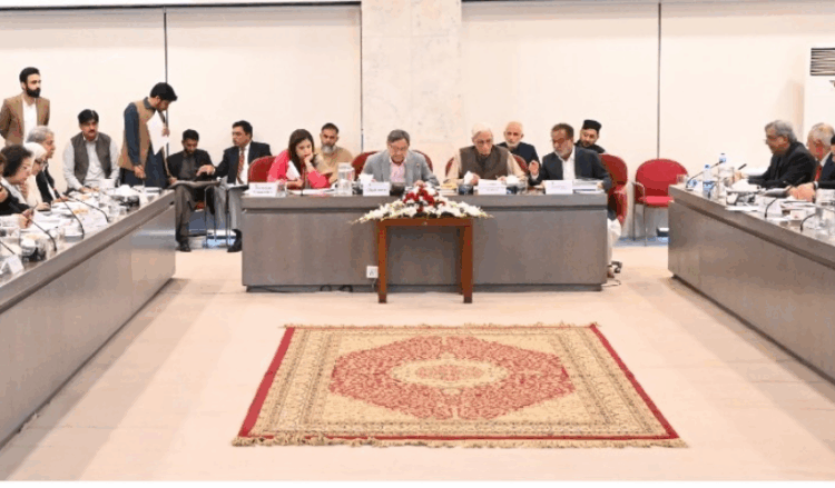 Parliamentary committee approves amendments to article 243, clause on presidential immunity included